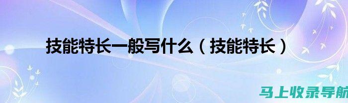 站长必备技能进阶：高效使用统计工具进行网站优化